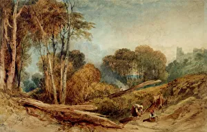 National Museums Northern Ireland Gallery: Beeston Castle, Cheshire