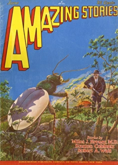 Images Dated 13th July 2011: THE BEETLE EXPERIMENT