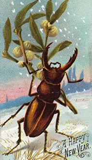 Beetle with mistletoe on a New Year card