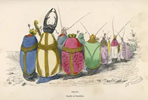 Beetle Procession