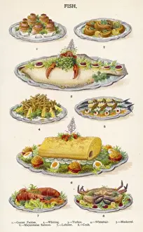 Beeton Fish