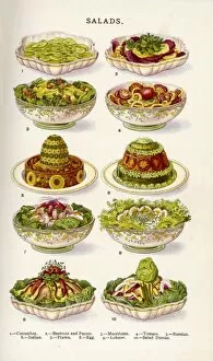 Beeton Collection: Beeton Salads