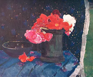 The Begonias
