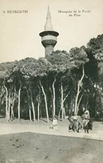 Images Dated 31st July 2020: Beirut, Lebanon - Mosque Minaret in the Pine Forest Date: circa 1907