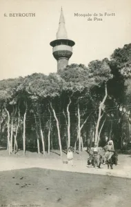 Pines Prints: Beirut, Lebanon - Mosque Minaret in the Pine Forest Date: circa 1907
