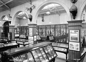 Exhibits Prints: Belfast Public Museum, Grainger Room