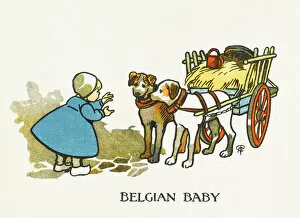 Clogs Gallery: Belgian Baby & Dogs