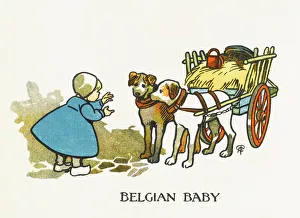 Clogs Gallery: Belgian Baby & Dogs