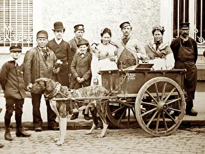 A Belgian dog cart, Victorian period