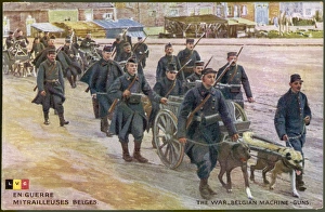 Belgian Dogs Pull Guns