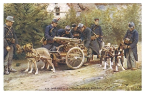 Belgian Dogs Pull Guns