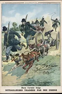 Haul Prints: Belgian Dogs Pull Guns