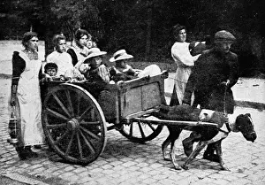 Wake Prints: Belgian peasant refugees