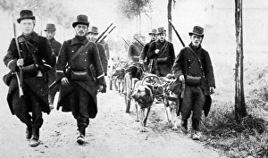 Belgian Dogs Pull Guns