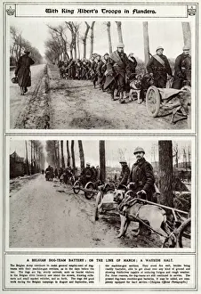 Belgian troops with dog-team 1916