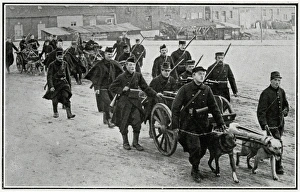 Belgian Dogs Pull Guns