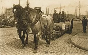 Anvers Gallery: Belgium - Antwerp - Working Dock Horses