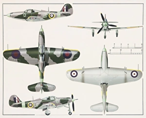 Airacobra Collection: Bell Airacobra I aeroplane