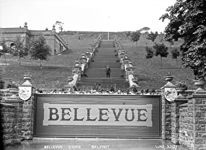 Word Gallery: Bellevue Steps, Belfast