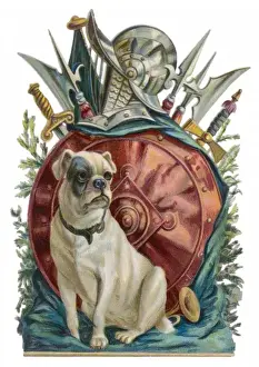 Array Prints: Belligerent Bulldog
