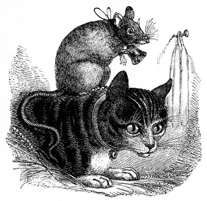 Fables Gallery: Belling the Cat