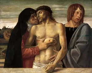 1516 Collection: BELLINI, Giovanni (1430-1516)