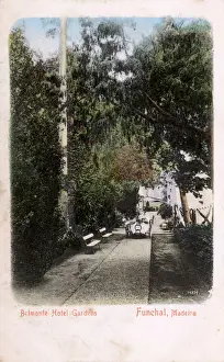 Shady Prints: Belmonte Hotel Gardens, Funchal, Madeira