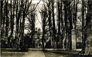 Grantham Gallery: Belton House, Belton, Lincolnshire