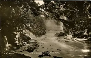 Belton Prints: Belton Park, Belton, Lincolnshire