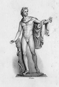 The Belvedere Apollo