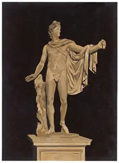 Belvedere Apollo
