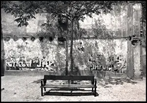 Torn Prints: Bench tree torn posters, Valencia, Spain