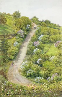 Steep Prints: Bend on Porlock Hill, Somerset