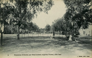 Abziza Gallery: Beni Mered, Algeria - farm
