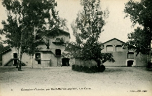 Abziza Gallery: Beni Mered, Algeria - farmhouses and storage cellars
