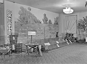 Bentalls Department Store - Kingston-upon-Thames