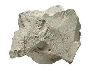 Bentonite
