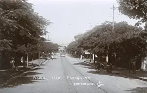 Florida Prints: Berea, Durban, Natal Province, South Africa