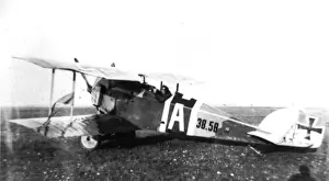 Berg Prints: Berg DI as used by Austrias leading fighter ace, Frank