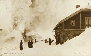 Images Dated 5th May 2011: Bergensbanen Railway - Station at Myrdal