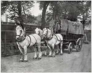 Whip Collection: Berger and Sons of Homerton, London, showing their transportation