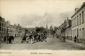 Marche Prints: Bergues, France - Marche aux Bestiaux (cattle market)