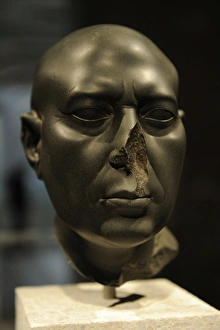Images Dated 27th February 2013: Berlin Green Head. Bust. Egypt