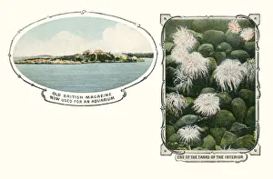 Images Dated 25th April 2019: Bermuda - Aquarium in old British Magazine building