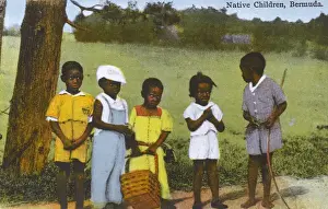 Bermudan Children, Bermuda