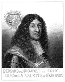 Bernard Duc D epernon