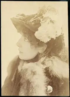 Bernhardt Prints: Bernhardt / Profile Hat