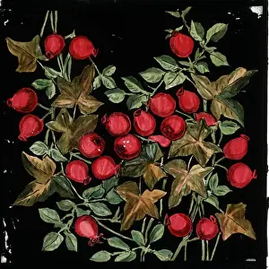 Berries and leaves