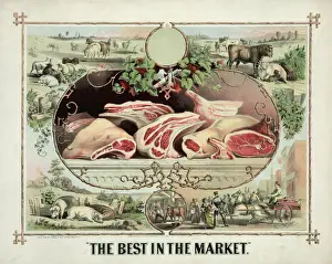 The best in the market
