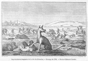 Bete Du Gevaudan